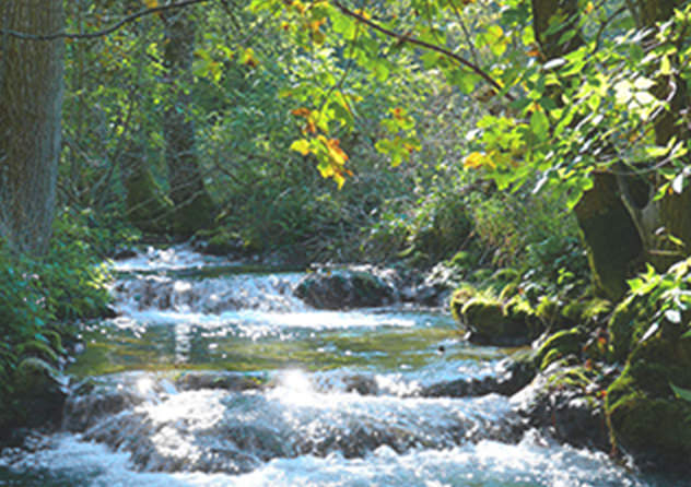 環境保護の取り組み