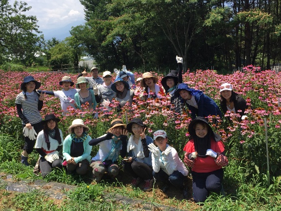 エキナセア作業前に、はいポーズ！