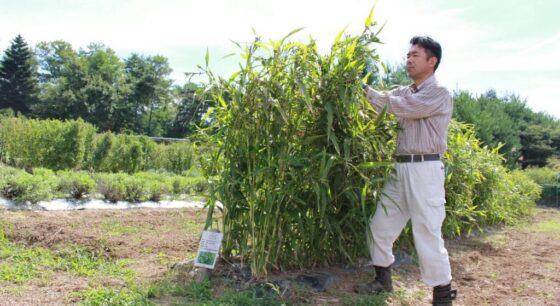 【農場だより】農場スタッフに聞いたこだわりを貫く、自社農場の「オーガニック栽培」