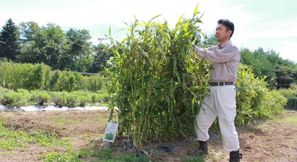 【農場だより】農場スタッフに聞いたこだわりを貫く、自社農場の「オーガニック栽培」