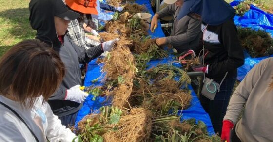 【農場だより】2年の歳月をかけてやっと収穫の時を迎えました