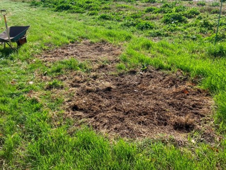 【農場だより】「ぼかし」を作っています